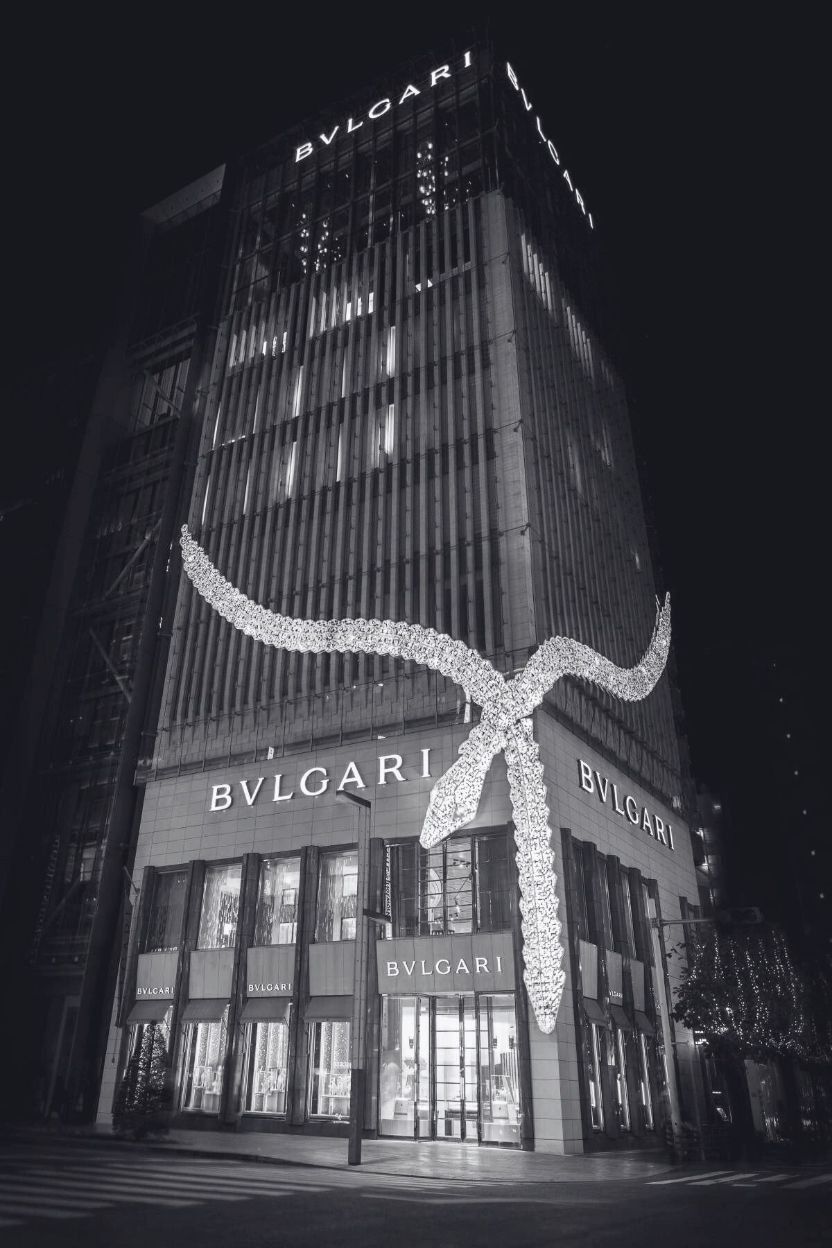 Bulgari Case Study 